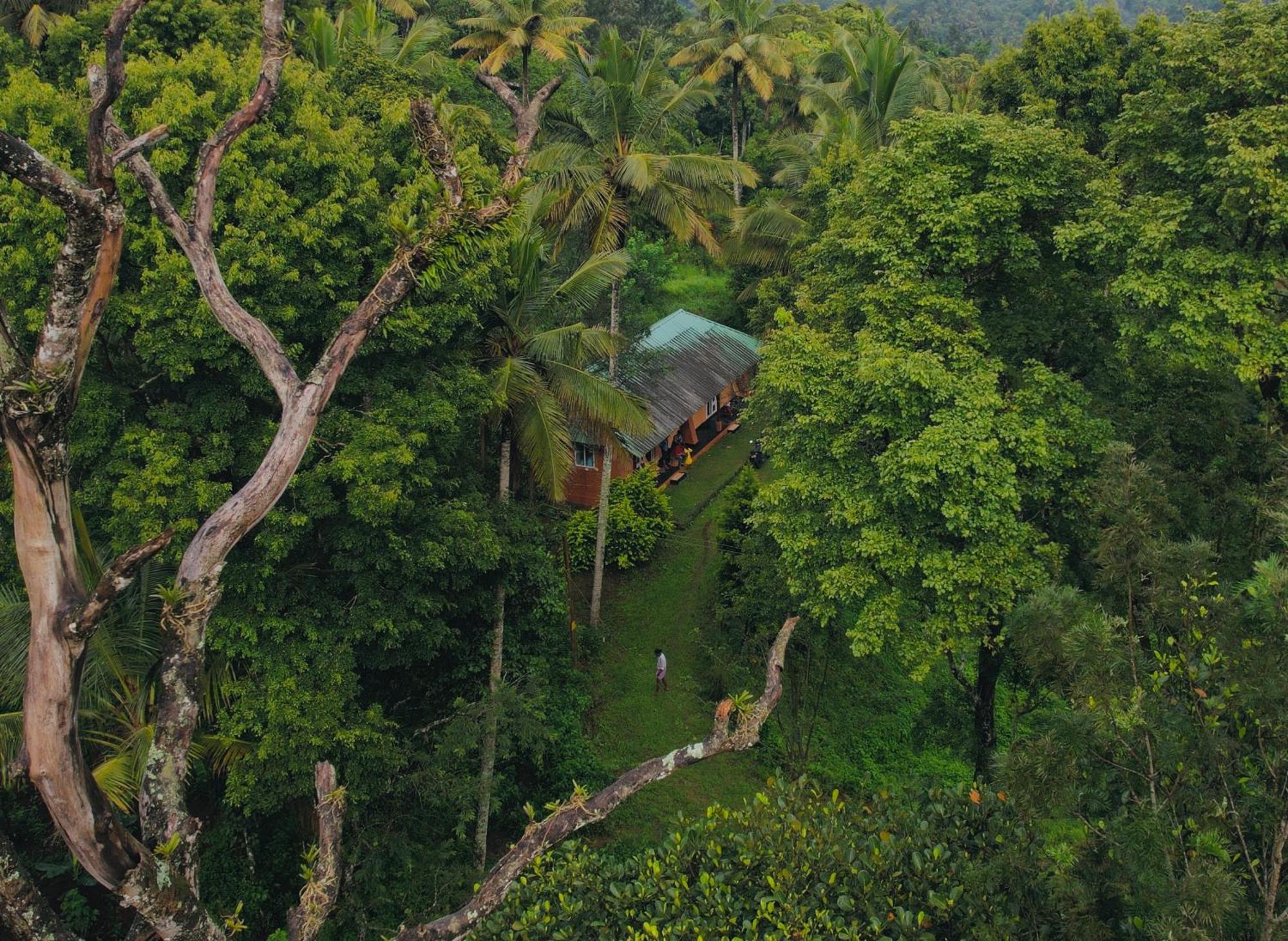 Punarjani Ayurvedic Resorts Ramakkalmedu Exterior photo